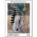 Ring-tailed lemur - Caribbean / Grenada 2020 - 4