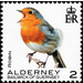 Robin - Alderney 2020 - 2