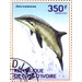 Rough-toothed Dolphin (Steno bredanensis) - West Africa / Ivory Coast 2014 - 350