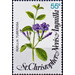 Ruellia tuberosa - Caribbean / Saint Kitts and Nevis 1979 - 55