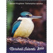 Sacred Kingfisher (Todiramphus sanctus) - Micronesia / Marshall Islands 2019 - 1.50