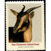 San Clemente Island Goat - United States of America 2021