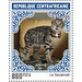 Savannah Cat - Central Africa / Central African Republic 2021 - 850