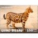 Savannah Cat - West Africa / Guinea-Bissau 2020 - 500