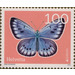 Scarce Large Blue (Phengaris teleius) - Switzerland 2021 - 100