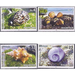 Sea shells of Mauritius - East Africa / Mauritius 2017 Set