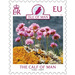 Sea Thrift (Armeria maritima) - Great Britain / British Territories / Isle of Man 2021