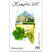 Series: Austrian wine regions - Kamptal DAC  - Austria / II. Republic of Austria 2019 - 80 Euro Cent