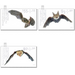 Series &quot;For the Youth&quot; - Bats - Barbastelle  - Germany / Federal Republic of Germany 2019 Set