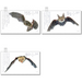 Series &quot;For the Youth&quot; - Bats - Barbastelle  - Germany / Federal Republic of Germany 2019 Set