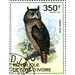 Shelley&#039;s Eagle-owl (Bubo shelleyi) - West Africa / Ivory Coast 2014 - 350