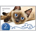 Siamese Cat - Romania 2020 - 2