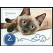 Siamese Cat - Romania 2020 - 2