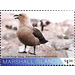 South polar skua - Micronesia / Marshall Islands 2020 - 1.50