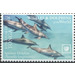 Spinner Dolphin (Stenella longirostris) - Polynesia / Tonga 2020 - 75