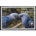 Spix&#039;s Macaw (Cyanopsitta spixii) - Cook Islands, Rarotonga 2020 - 6