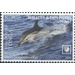 Striped Dolphin (Stenella coeruleoalba) - Polynesia / Tonga 2020 - 11.80