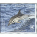 Striped Dolphin (Stenella coeruleoalba) - Polynesia / Tonga 2020 - 11.80