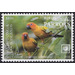 Sun Conure (Aratinga solstitialis) - Cook Islands, Rarotonga 2020 - 3