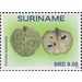 Sweetsops (Annona squamosa) - South America / Suriname 2020 - 9