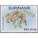 Tamarind (Tamarindus indica) - South America / Suriname 2020 - 20