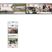 TAP Portugal Airlines 75th Anniversary (2020) - Portugal 2020 Set