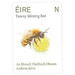 Tawny Mining Bee - Ireland 2019