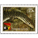 Timor Monitor - Varanus timorensis - East Timor 2010 - 75