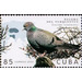 Turkestan Pigeon - Caribbean / Cuba 2020