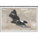 Verreaux&#039;s Eagle - Aitutaki 2019 - 6