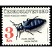 Violet Oil Beetle (Meloe violaceus) - Czechoslovakia 1992 - 3