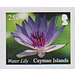 Water Lily - Caribbean / Cayman Islands 2020 - 25