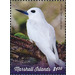 White Tern (Gygis alba) - Micronesia / Marshall Islands 2019 - 1.50