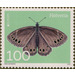 Woodland Brown (Lopinga achine) - Switzerland 2021 - 100