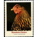 Wyandotte Chicken - United States of America 2021