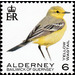 Yellow Wagtail - Alderney 2020 - 6