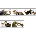 Youth: cats  - Germany / Federal Republic of Germany 2004 Set