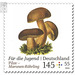 Youth: mushrooms  - Germany / Federal Republic of Germany 2018 - 145 Euro Cent