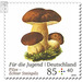 Youth: mushrooms  - Germany / Federal Republic of Germany 2018 - 85 Euro Cent