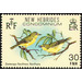 Zosterops flavifrons flavifrons - Melanesia / New Hebrides 1980 - 30